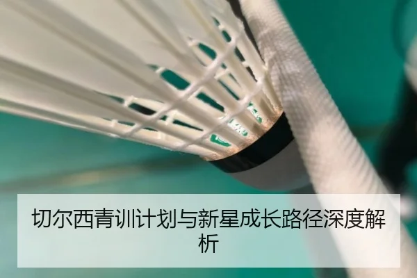 切尔西青训计划与新星成长路径深度解析